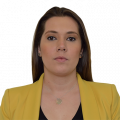 Foto oficial del funcionario público Susana Araceli Ibarra Hernández